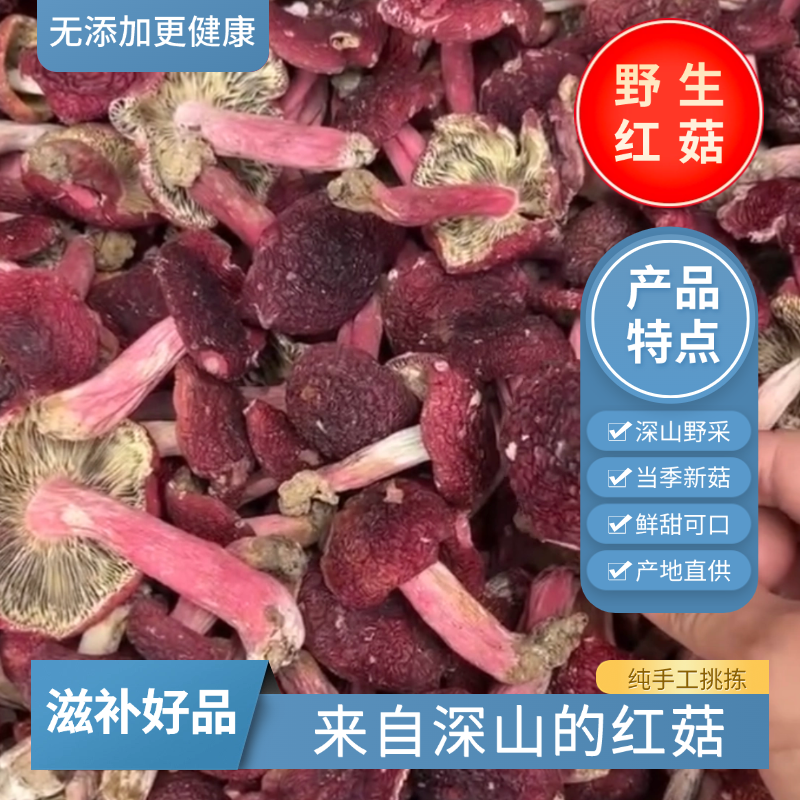 野生红菇干货500g香菇红蘑菇红椎菌福建特产非特级月子无硫小红菇