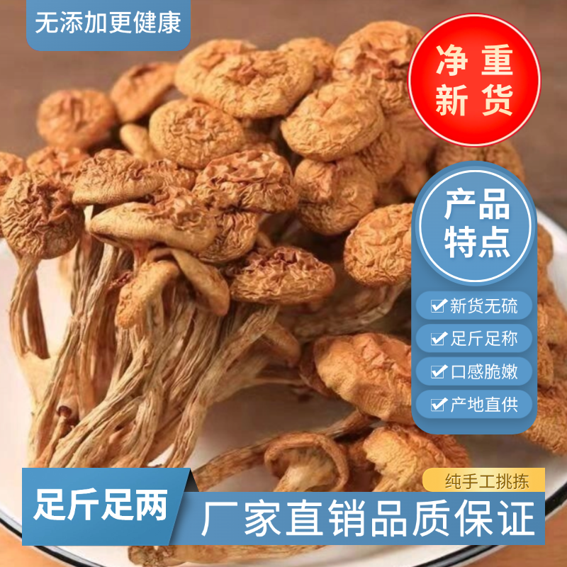 滑子菇500g滑子蘑滑菇当季新货小黄蘑福建特产无硫小鸡炖蘑菇滑菇