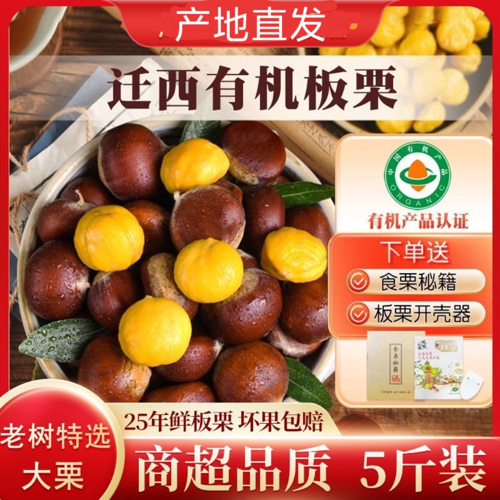 2025年新货正宗有机迁西板栗生新鲜栗子唐山特产燕山老树大栗油栗