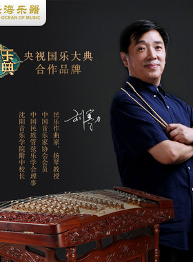 乐海 扬琴乐器一级红铁木豆浮雕乐龙戏珠演奏扬琴623F-A线下同款