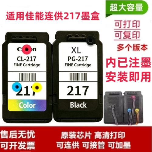 适用佳能217黑色彩色墨盒TS3640 3440 3340 207 2540易加墨可连供