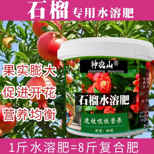 石榴树专用肥料果树盆栽地栽石榴树苗盆景肥料营养肥氮磷钾水溶肥