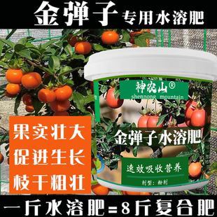 金弹子树专用肥料促花挂果治金蛋子黄叶黑斑盆栽盆景有机复合肥