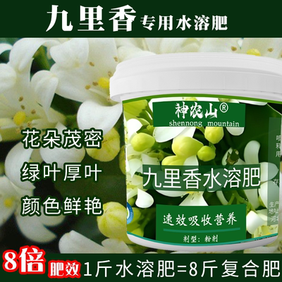 九里香肥料九里香专用肥九里香营养液盆栽花肥七里香化肥九里香树