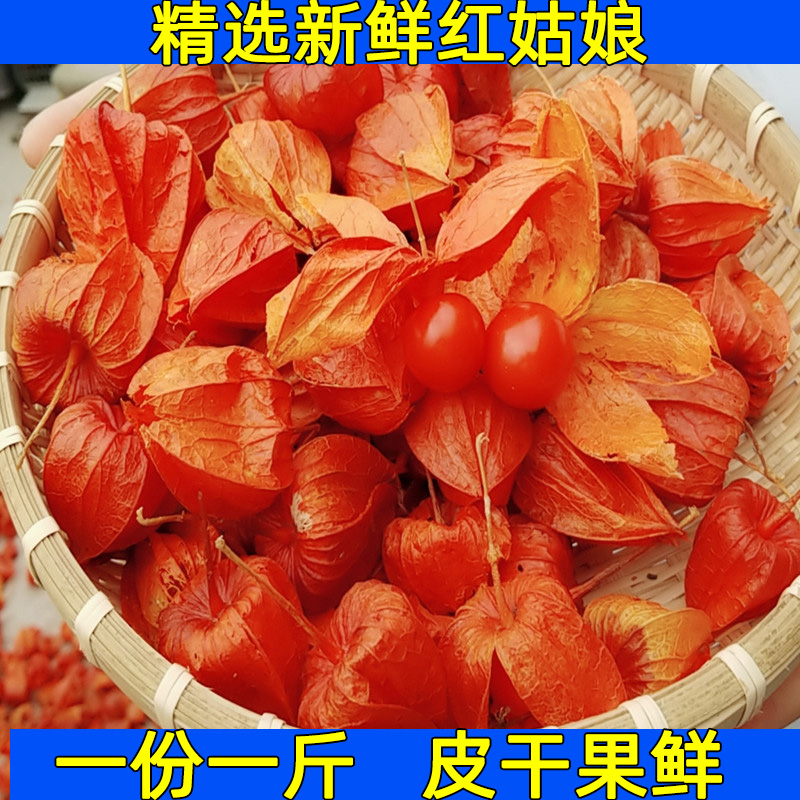 长白山红姑娘菇娘果锦灯笼苦姑娘山姑娘中药材挂金灯皮果1斤