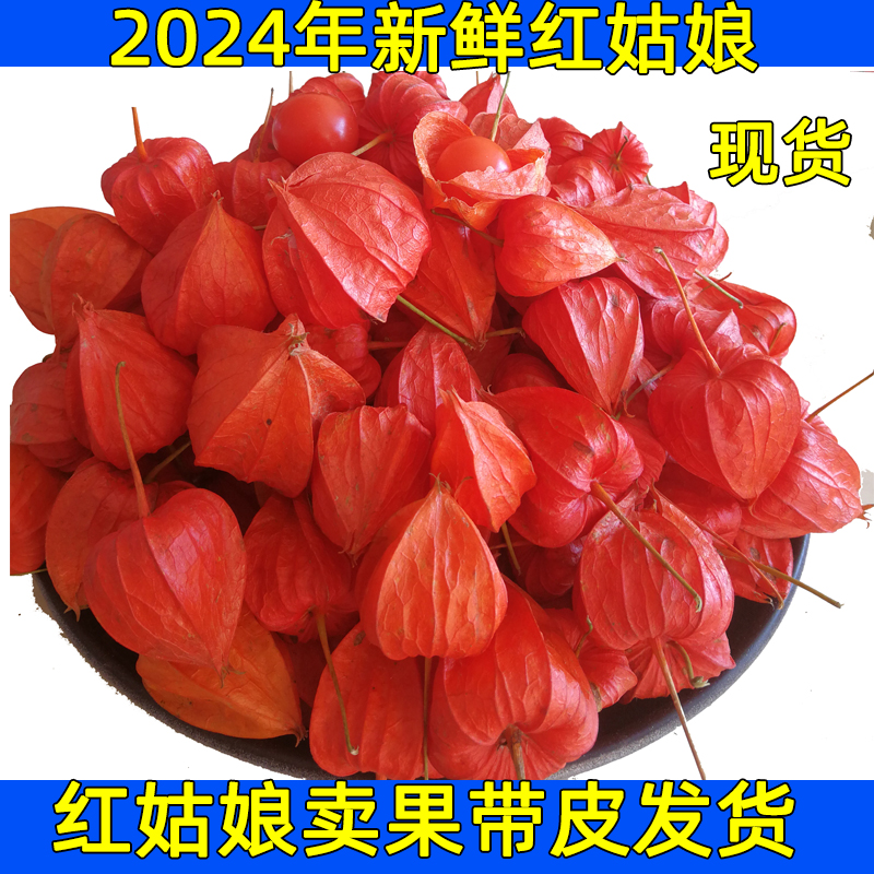 野生红姑娘鲜果纸箱吉林中药材