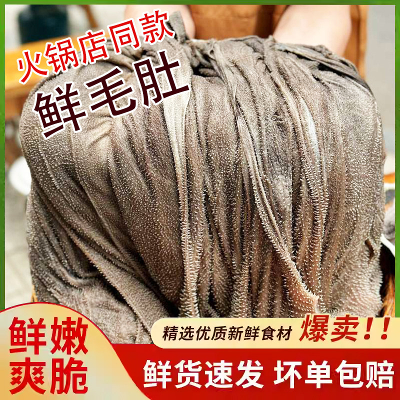 鲜毛肚火锅专用大叶无泡发屠场鲜毛肚新鲜批发商用火锅食材毛肚