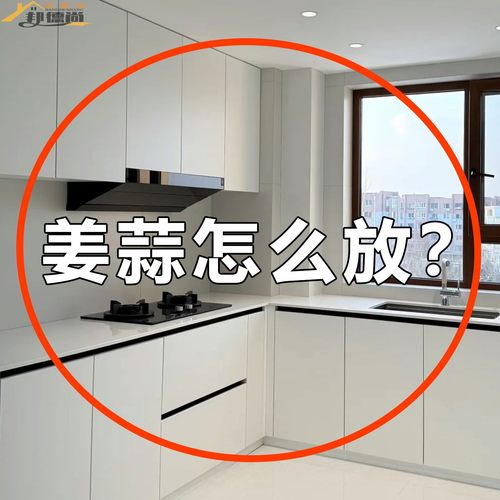 厨房吸盘葱姜蒜收纳盒置物架壁挂生姜大葱大蒜收纳神微波炉清洁器