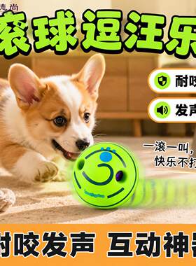 狗狗玩具滚动发声球自嗨球傻笑球磨牙解闷耐咬球宠物球耐咬硅胶
