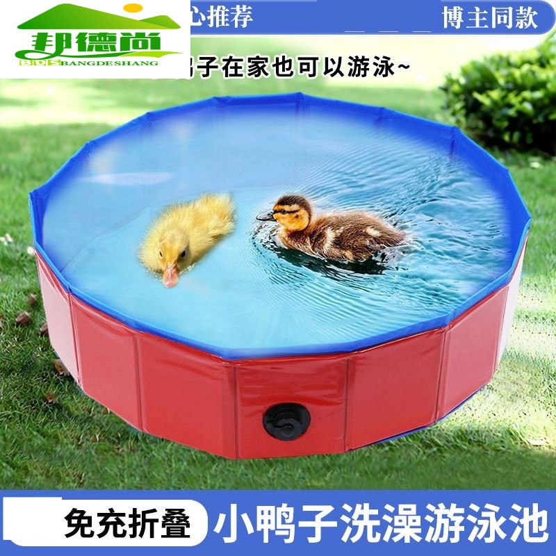 宠物小鸭子游泳池家用洗澡池水盆浴盆训练柯尔鸭玩耍池子充气折叠