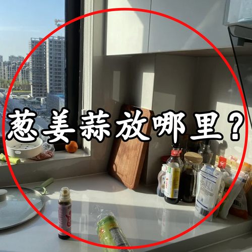 葱姜蒜收纳盒壁挂放生姜大蒜蔬菜篮吸盘置物架厨房免水槽沥水袋1