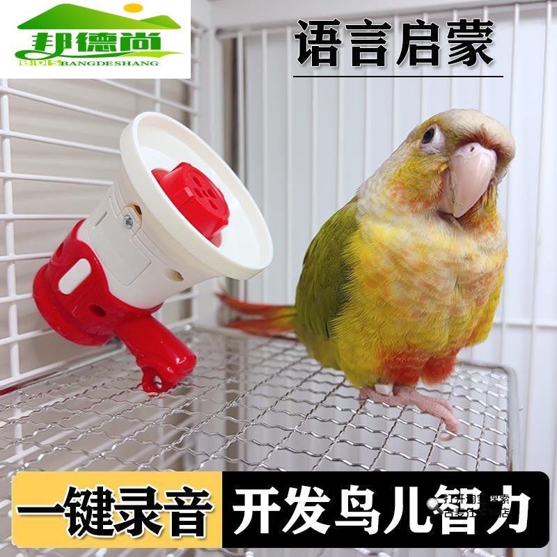 鹦鹉说话器教学机训练鸟用复读录音机循环播放扩音器玄凤虎皮玩具