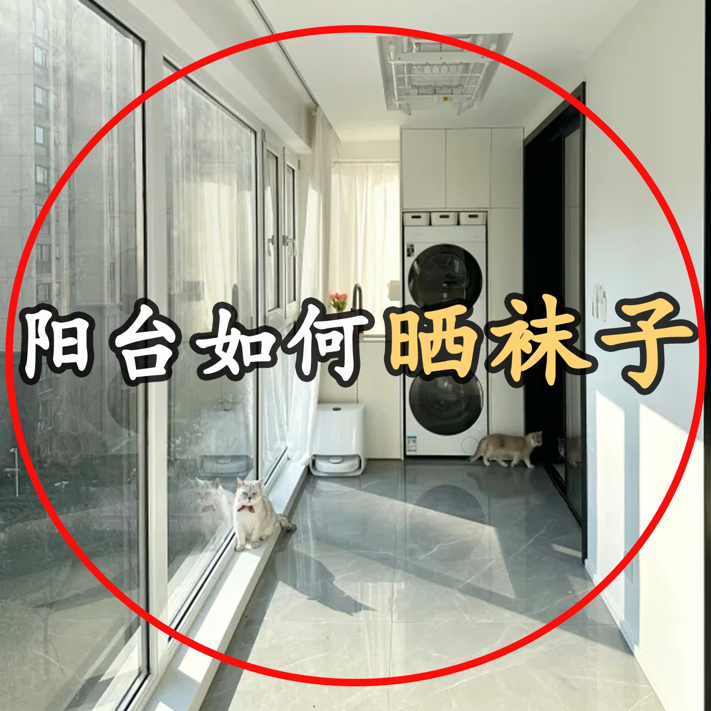 吸盘式折叠内衣袜子晾晒架阳台壁挂多夹子晾袜架防风晒浴缸置物架
