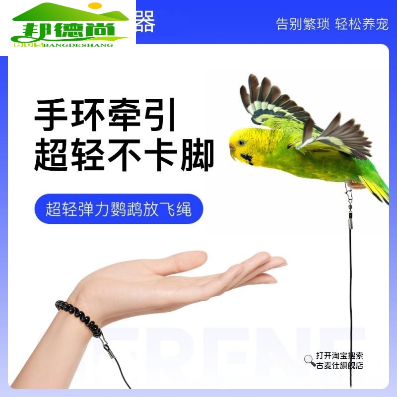 鹦鹉超轻放飞绳玄凤虎皮牡丹脚环遛鸟神器训练鸟外出飞行牵引绳