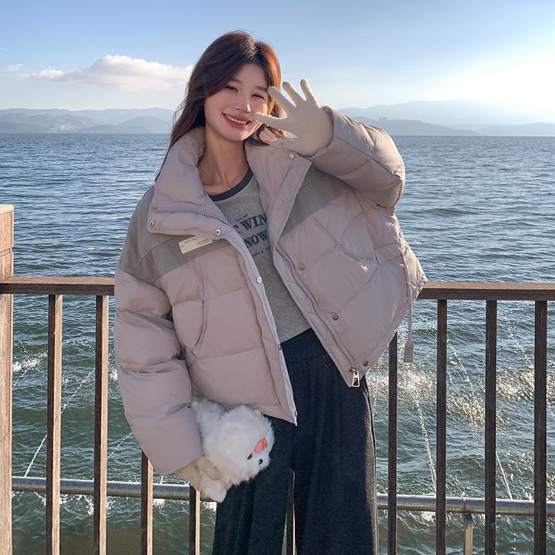 小个子短款立领羽绒服女冬季2024新款韩系爆款洋气独特别致超好看,女装羽绒服,浙宝271