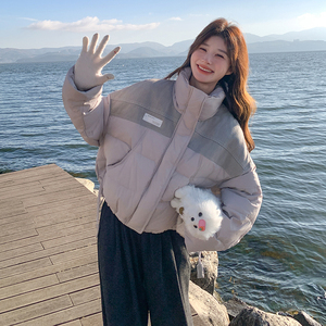 小个子短款立领羽绒服女冬季2024新款韩系爆款洋气独特别致超好看图片