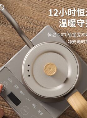 烧水壶家用 泡茶专用功夫茶细长嘴 控温保温一体恒温电热水壶套装