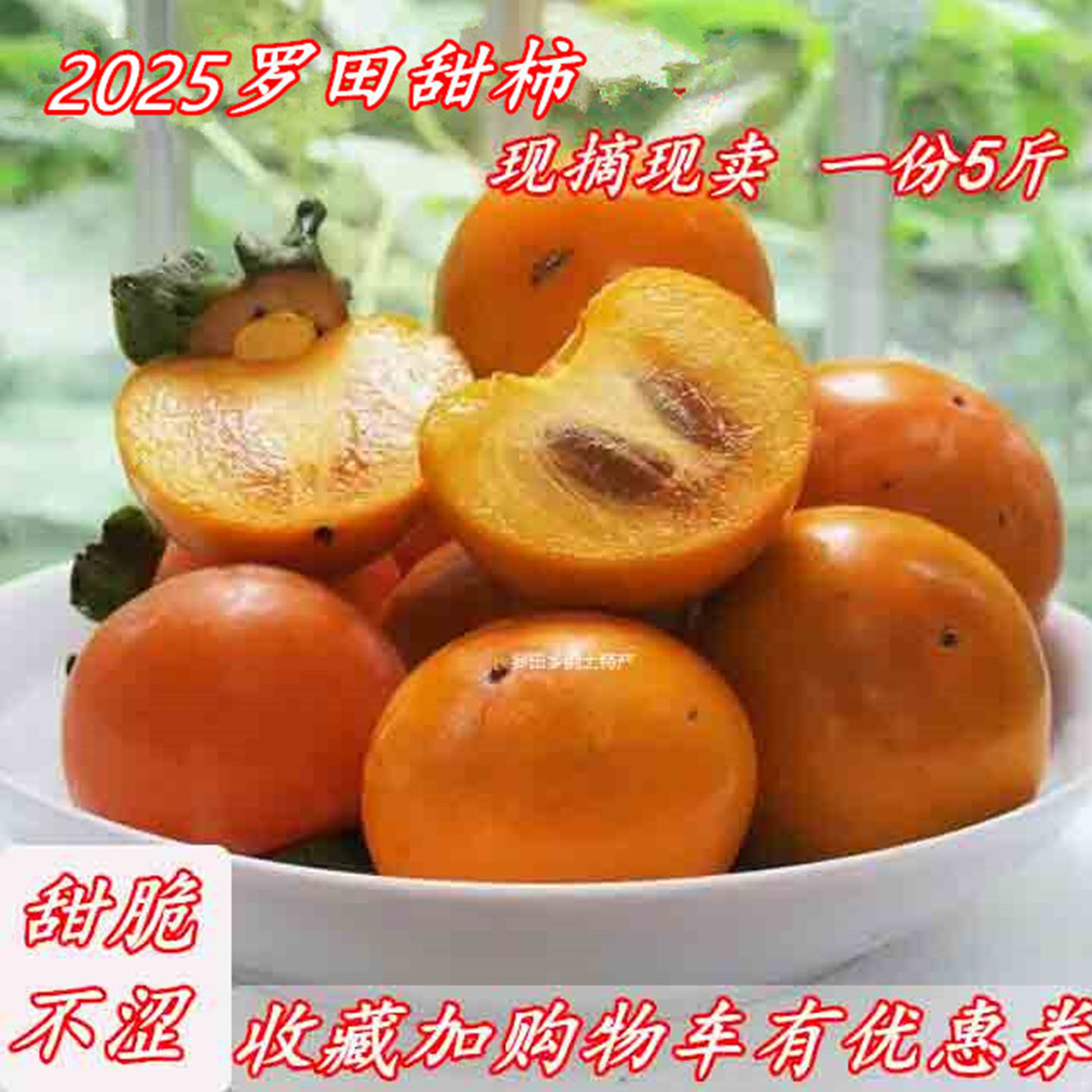 罗田甜柿子农家现摘现发