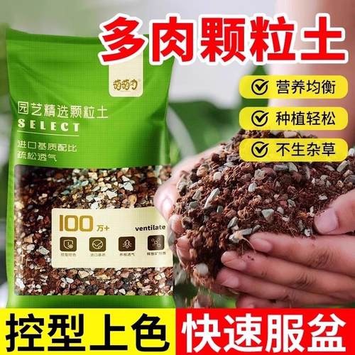 多肉专用颗粒土多肉植物营养土盆栽铺面石叶插纯颗粒种植土壤基质