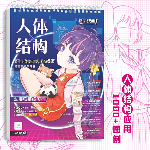 人体结构 动漫临摹练习本 浅印描红填色 漫画人物绘画 临摹素材画集画册 iPad漫画 手绘插画 成人儿童画画自学入门零基础 哒哒猫