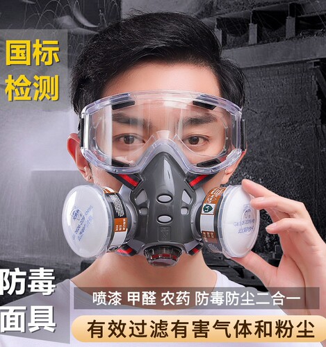 防毒面具全面罩防尘面具防工业粉尘全脸喷漆专用防护防烟氧气甲醛 - 封面