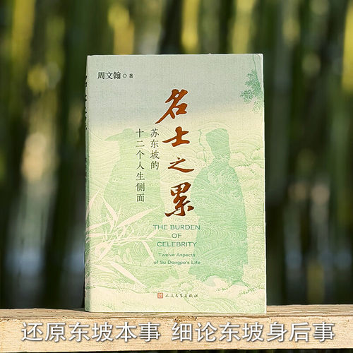 名士之累：苏东坡的十二个人生侧面  还原真实苏东坡 真实北宋时代
