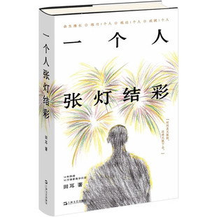 一个人张灯结彩  田耳 著  上海文艺出版社  新华书店正版图书
