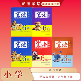 26春 学法大视野·小学语文数学英语道德与法治 六年级下册（配湘鲁苏教人教)