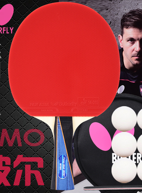 蝴蝶乒乓球拍波尔3000专业级单拍TIMO BOLL蝴蝶王纯木底板直/横拍