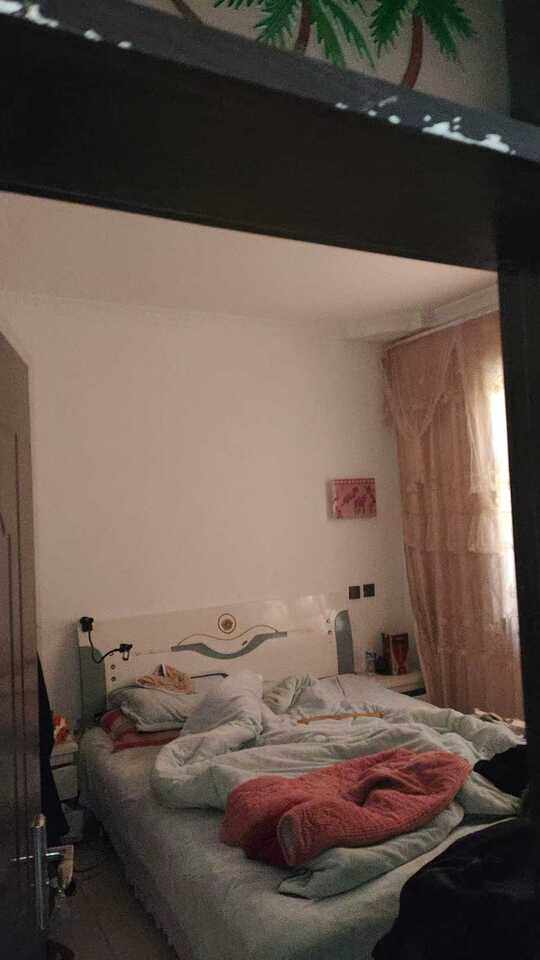 3月28日新乡社区向阳A区5巷56号及简易结构棚（构筑物，其他辅助设施）网络拍卖公告