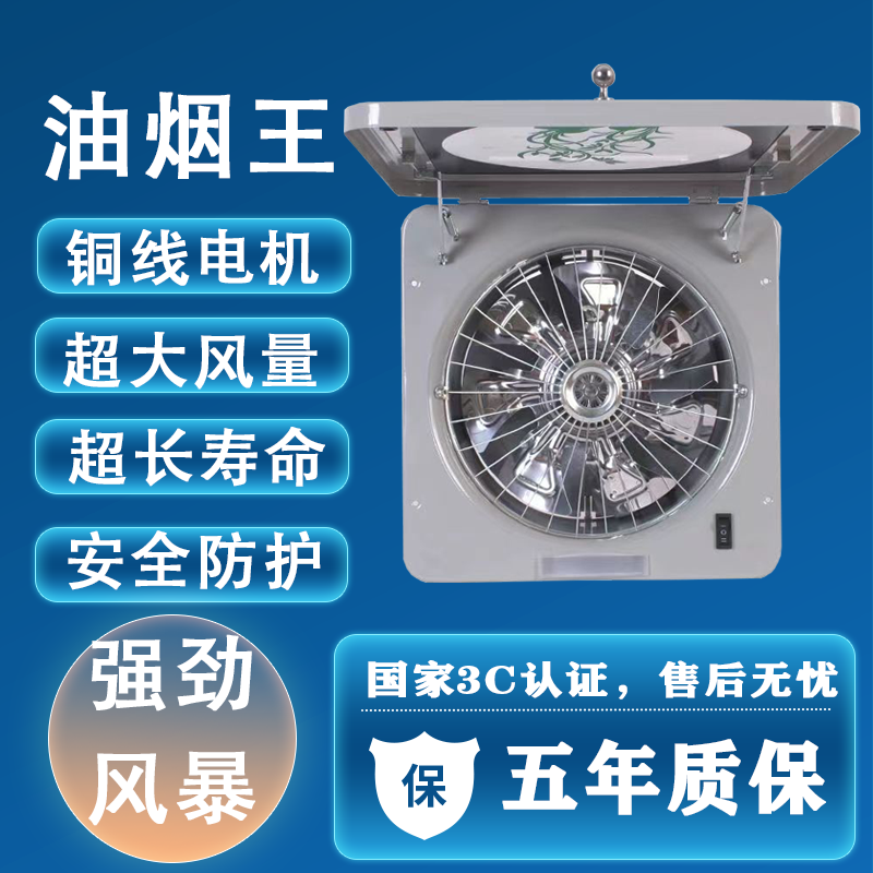10寸强力换气扇厨房抽油烟排气扇窗式墙式排风扇双档调速轴流风机