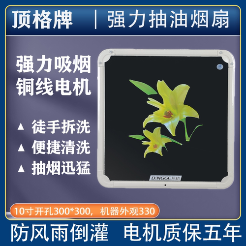 10寸排风扇涡轮式油烟简易厨房