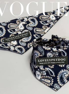 宠物猫咪口水巾狗狗网红三角巾帅气拍照饰品蓝色变形虫泰迪围嘴