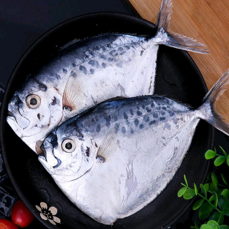 【顺丰包邮】19斤刀鲳鱼（约45条）银鲳鱼眼镜鱼冷冻冰鲜海鱼扁刀,水产肉类/新鲜蔬果/熟食,其它,淘宝优惠券,粉丝福利购,淘宝优惠卷