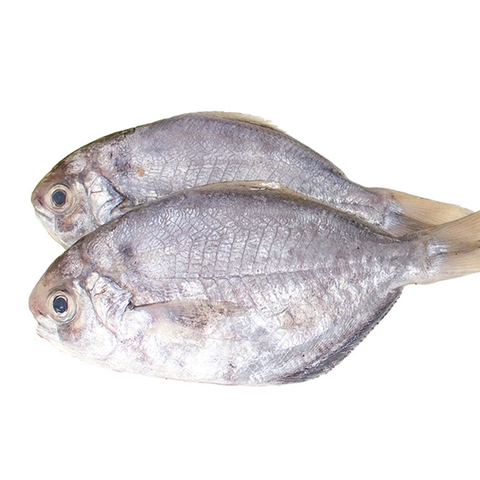 10斤整箱肉鲳冻刺鲳树叶鱼（已去内脏）食堂快餐冷冻生鲜食品批购,水产肉类/新鲜蔬果/熟食,鱼干,淘宝优惠券,粉丝福利购,淘宝优惠卷