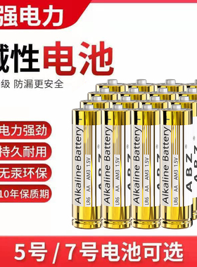 碱性电池5号7号AA玩具车血压计燃气表鼠标键盘话筒AAA五七号1.5V