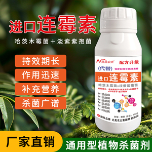 防治青枯叶枯病软腐病专用连霉素