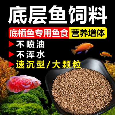 下沉型鱼粮慈锦鲤鹦鹉招财猫