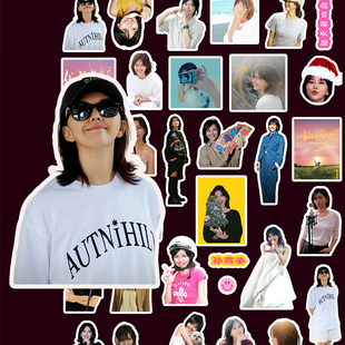 孙燕姿贴纸复古经典 贴画防水演唱会周边素材diy日记本电脑手机贴