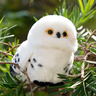 网红信使猫头鹰互动智能玩具站肩魔法小鸟公仔玩偶送女生儿童礼物