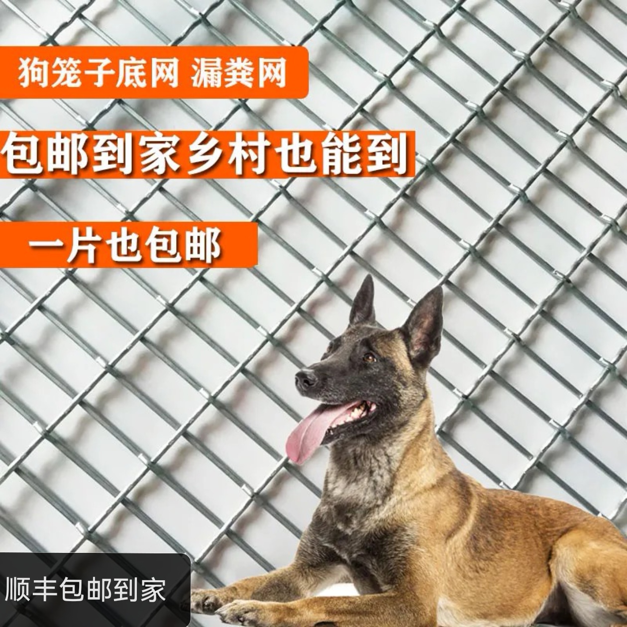 犬舍漏粪网鸽子漏粪网狗笼子底网