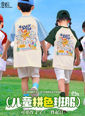 毕业班服定制纯棉插肩T恤短袖儿童小学幼儿园亲子运动会diy印logo