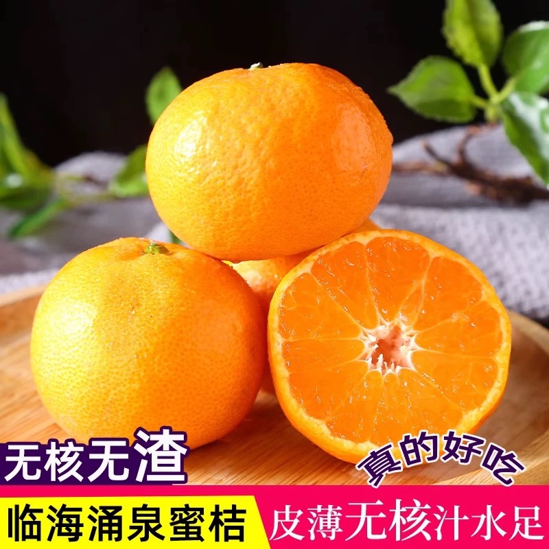 正宗涌泉无核蜜桔
