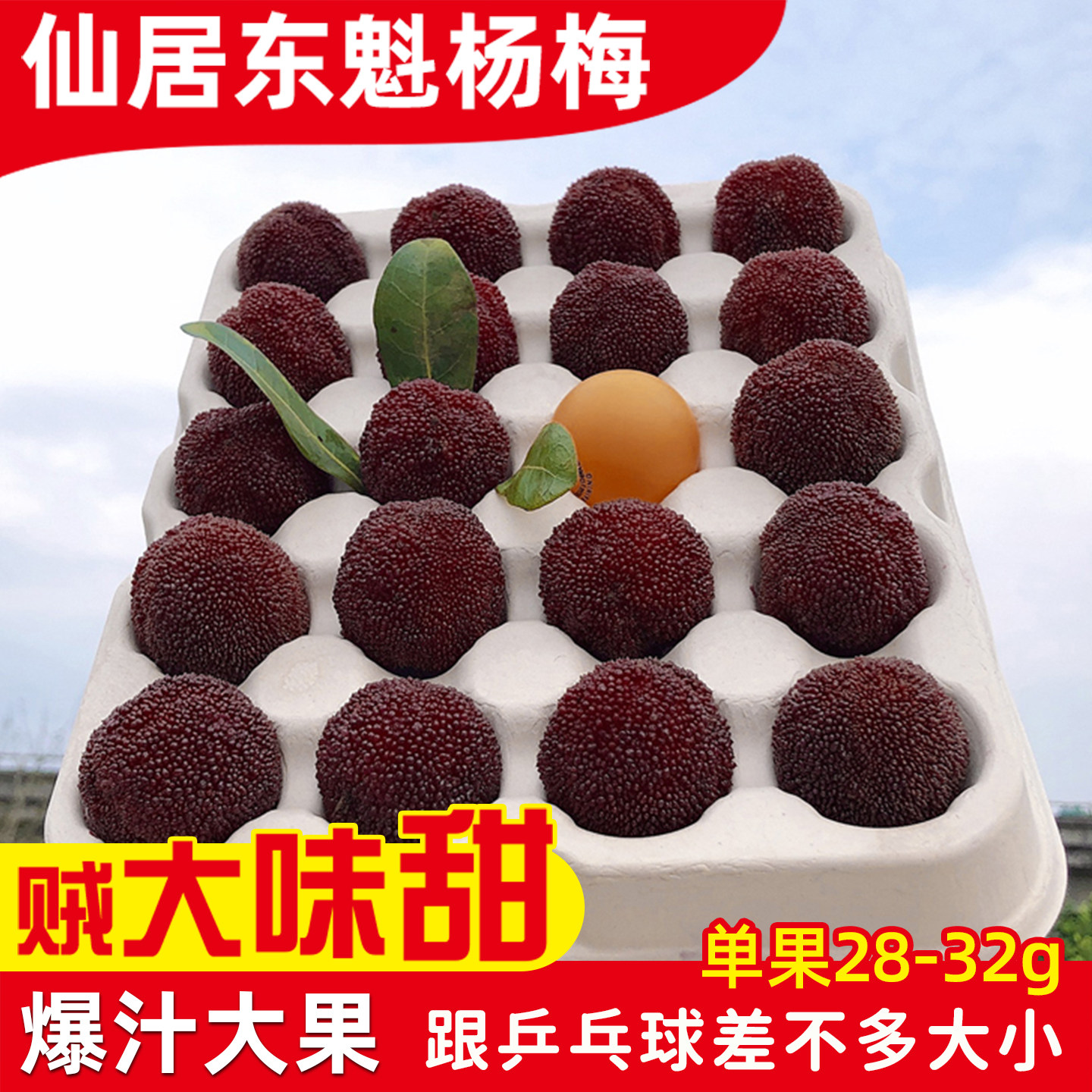 [直播间推荐]正宗仙居东魁杨梅新鲜大杨梅现摘现发礼盒装大果浙江