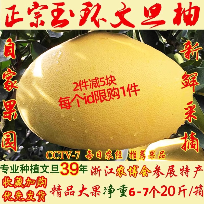 【24小时现摘速发】玉环文旦柚图片