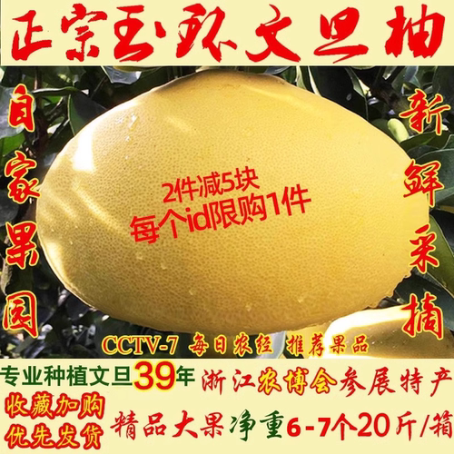 【24小时现摘速发】玉环文旦柚