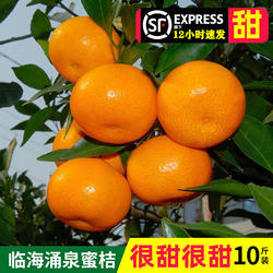 正宗涌泉蜜桔临海橘子当季蜜橘整箱新鲜水果现摘黄岩桔子旗舰店