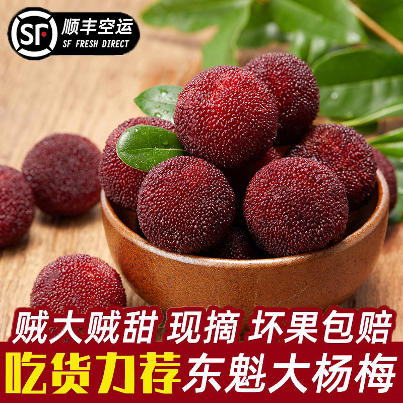 【大果】仙居东魁杨梅颗粒包装