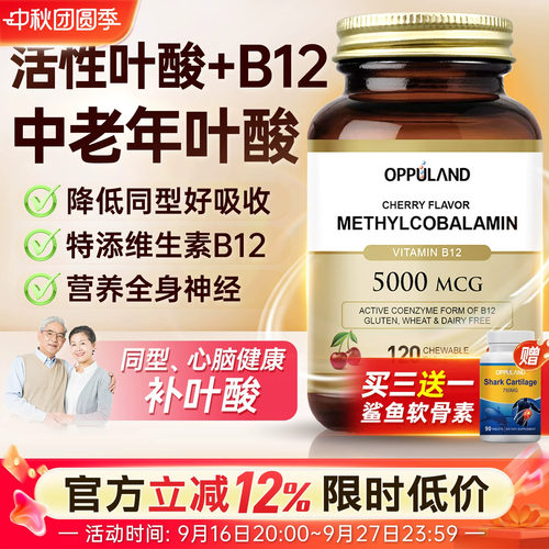 叶酸片120片中老年人吃的叶酸片
