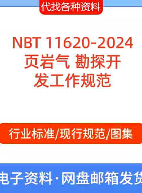NBT 11620-2024页岩气 勘探开发工作标准规范PDF文档代找代下载